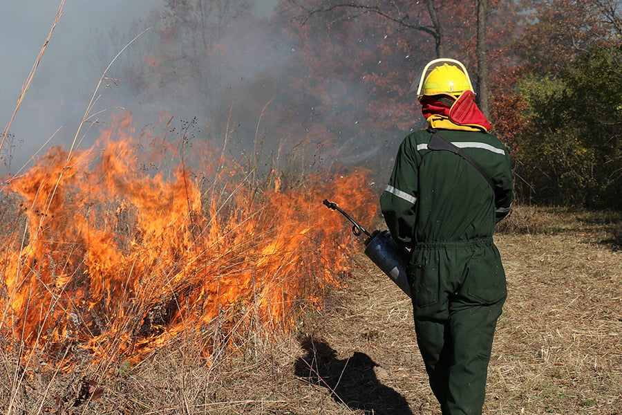 crews conducting a prescription burn